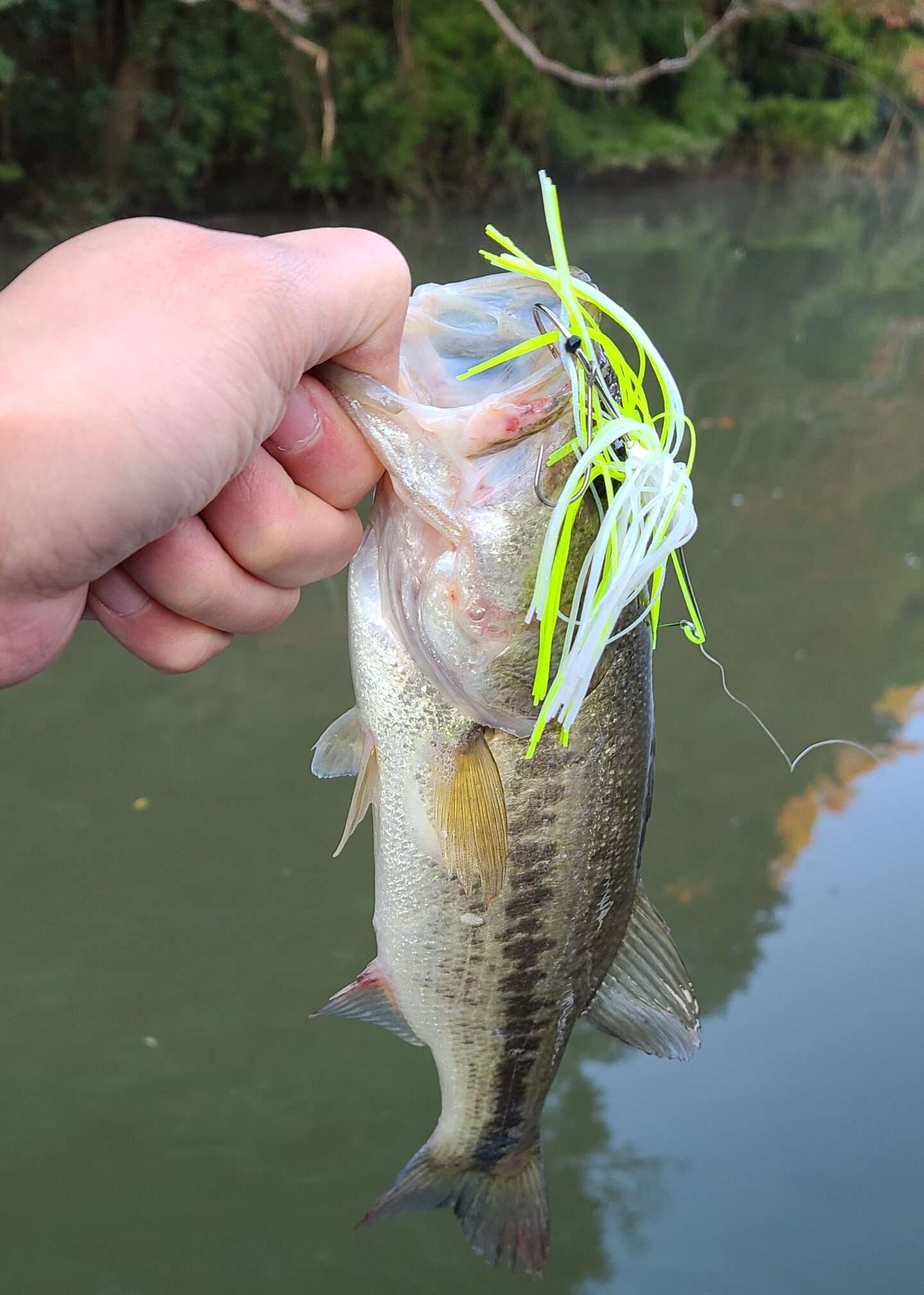 【亀山ダム】スピナーベイトしか釣れる気がしない秋の一日