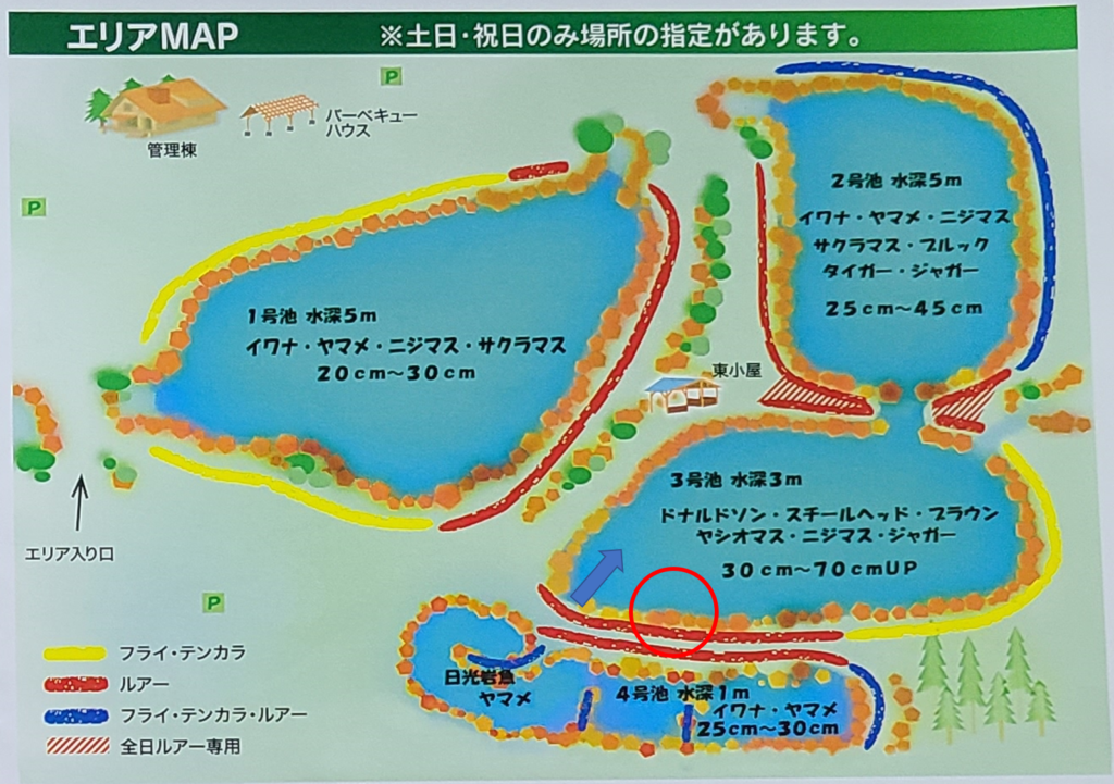 発光路の森フィッシングエリア】初場所でデカマスは釣れるのか？朝一 