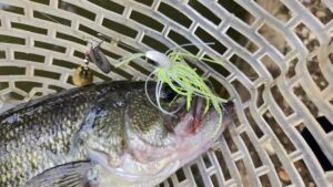 Thumbnail of post image 048