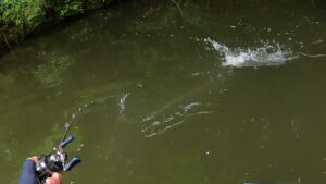 Thumbnail of post image 082