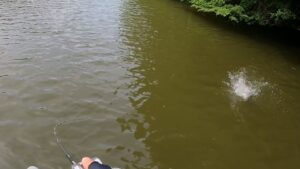 Thumbnail of post image 014